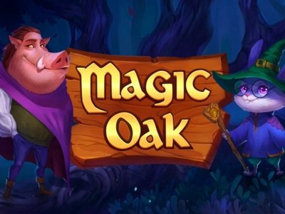 CO88 Magic Oak